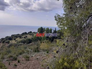 Parcel 7.000 sqm for sale