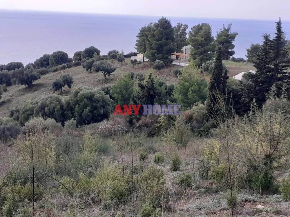 Αγροτεμάχια 7.000 τ.μ. προς πώληση, Λουτρά Παλλήνης