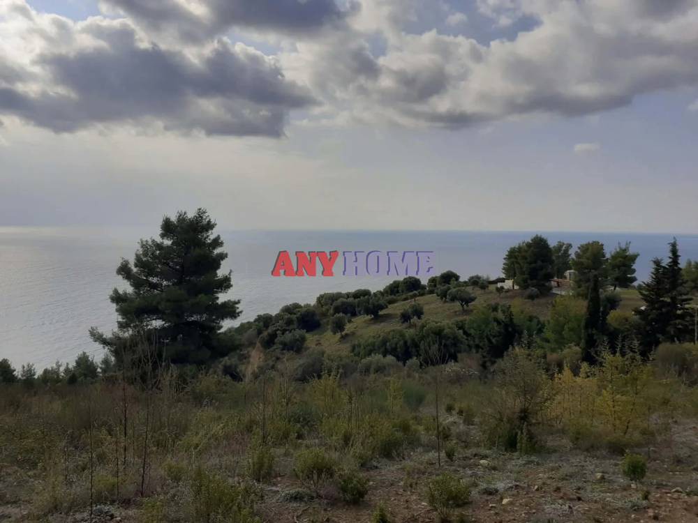 Αγροτεμάχια 7.000 τ.μ. προς πώληση, Λουτρά Παλλήνης
