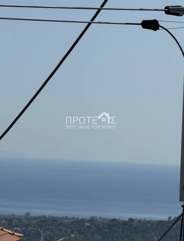 Μονοκατοικία 265 τ.μ. προς ενοικίαση, Διώνη Πικερμίου