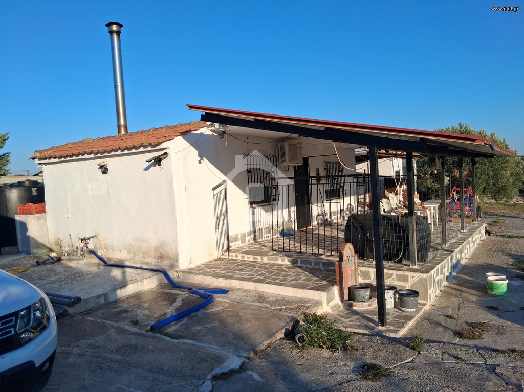 Αγροτεμάχια 12.000 τ.μ. προς πώληση, Μεσημέρι Επανομής