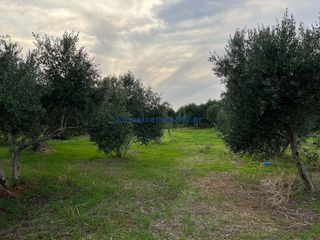 Οικόπεδο 1.570 τ.μ. προς πώληση, Πλατανιάς Χανίων-thumb-1