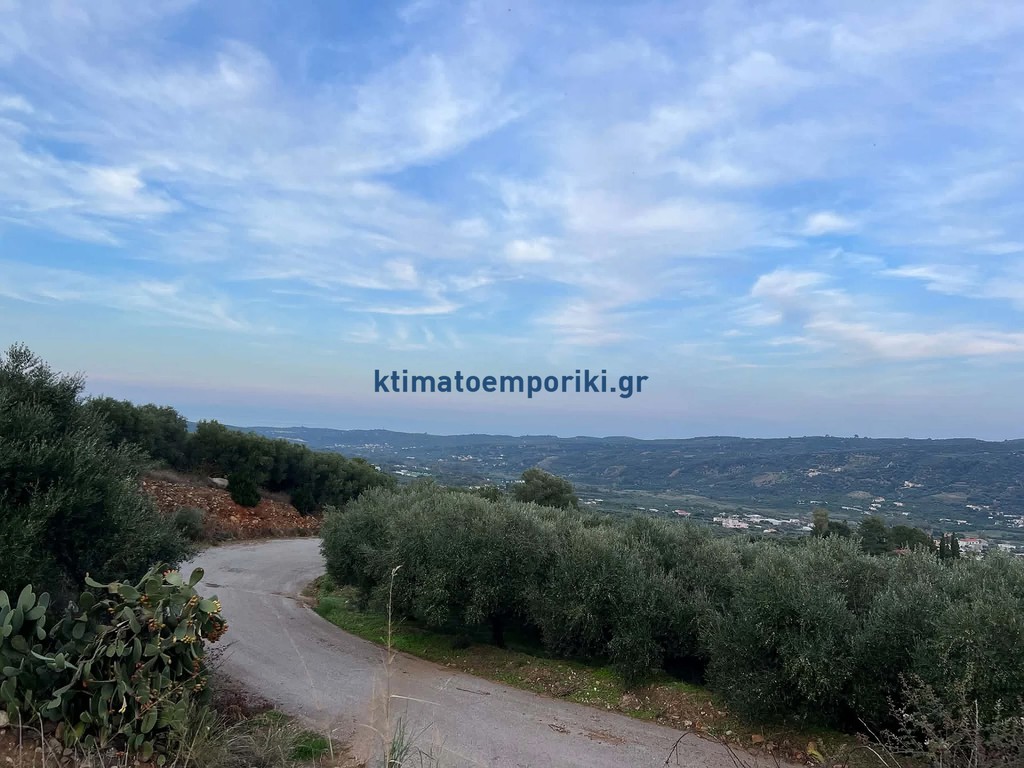 Οικόπεδο 1.570 τ.μ. προς πώληση, Πλατανιάς Χανίων