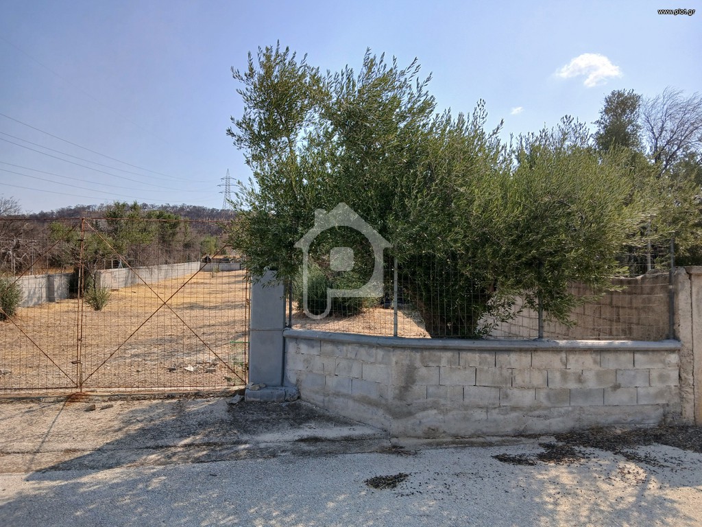 Οικόπεδο 550 τ.μ. προς πώληση, Σχίνος Λουτρακίου-Περαχώρας