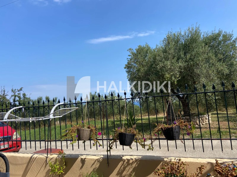 Διαμέρισμα 75 τ.μ. προς πώληση, Κρυοπηγή Κασσάνδρας