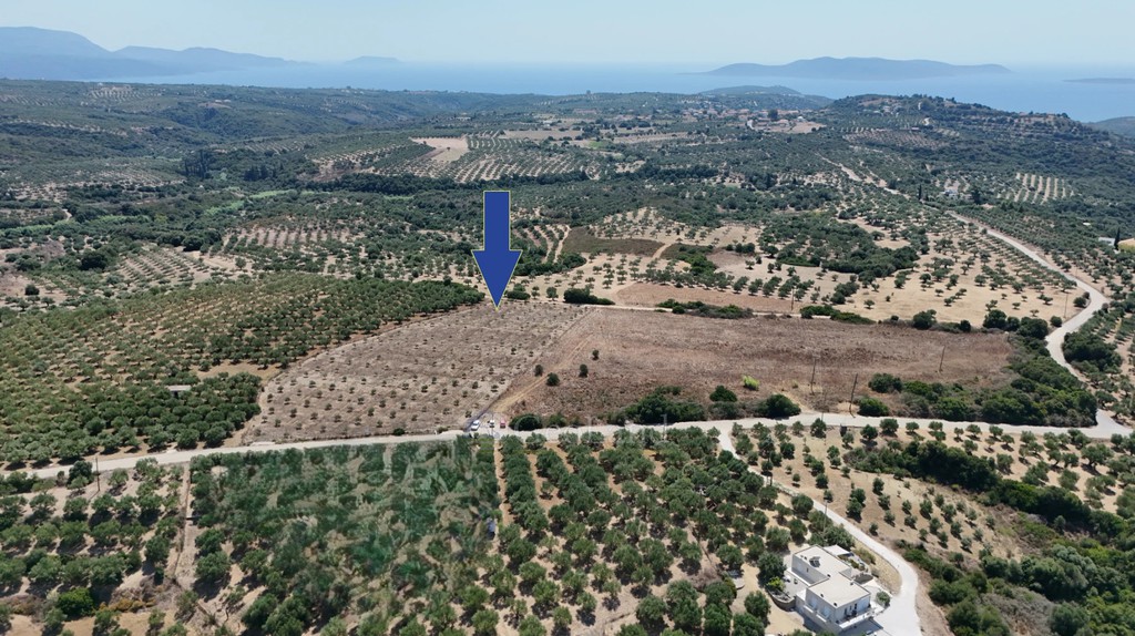 Αγροτεμάχια 9.874 τ.μ. προς πώληση, Φοινίκη Μεθώνης
