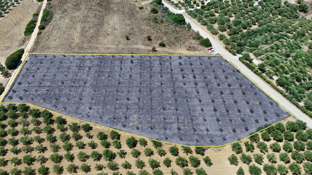 Αγροτεμάχια 9.874 τ.μ. προς πώληση, Φοινίκη Μεθώνης