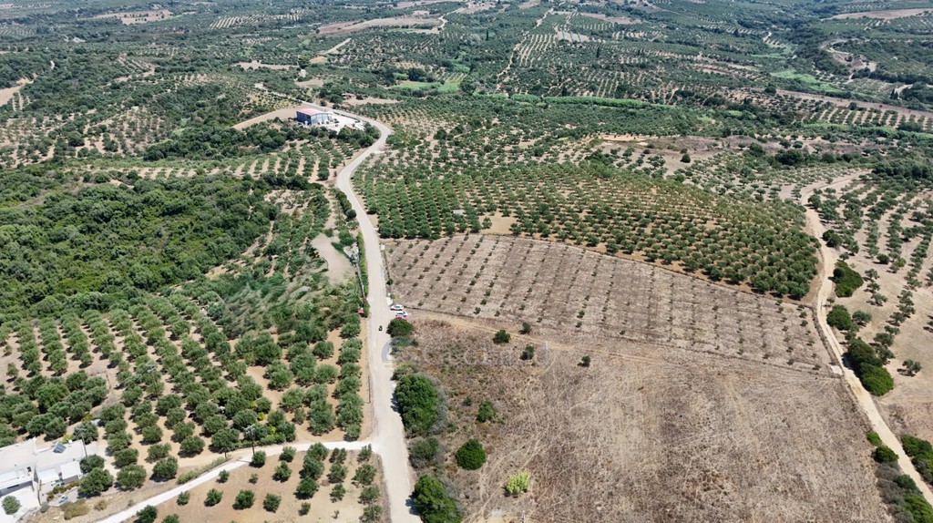 Αγροτεμάχια 9.874 τ.μ. προς πώληση, Φοινίκη Μεθώνης
