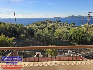 Μονοκατοικία 217,32 τ.μ. προς ενοικίαση, Παληό-thumb-26