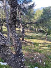 Land plot 1.013 sqm for sale