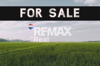 Land plot 2.019 sqm for sale