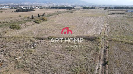 Αγροτεμάχια 62.800 τ.μ. προς πώληση