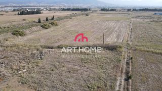 Parcel 62.800 sqm for sale