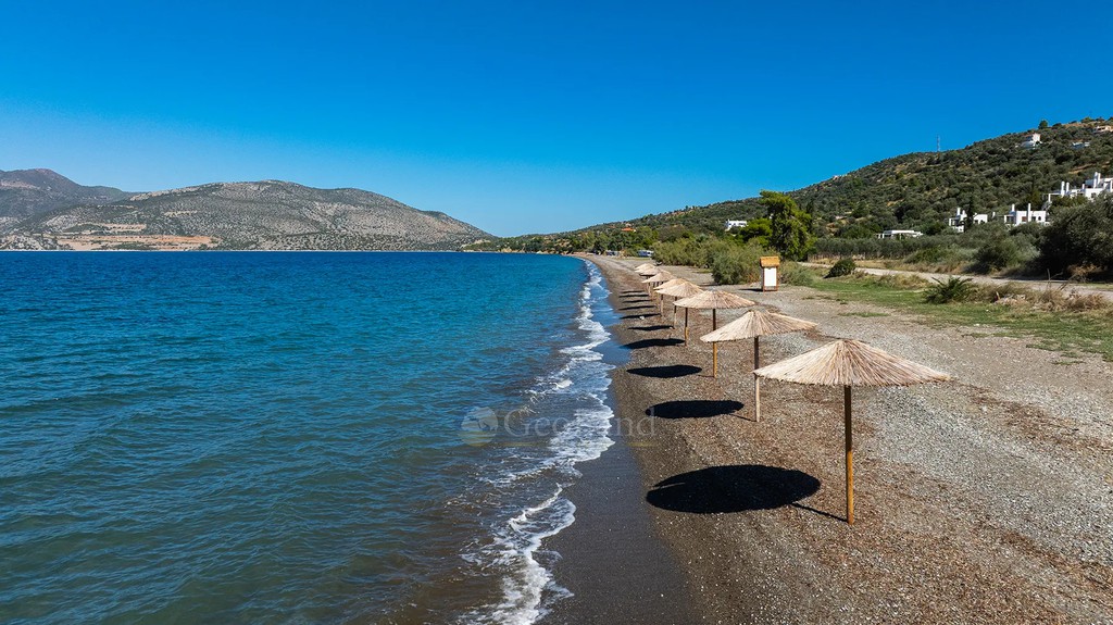 Αγροτεμάχια 18.356 τ.μ. προς πώληση, Ψήφτα