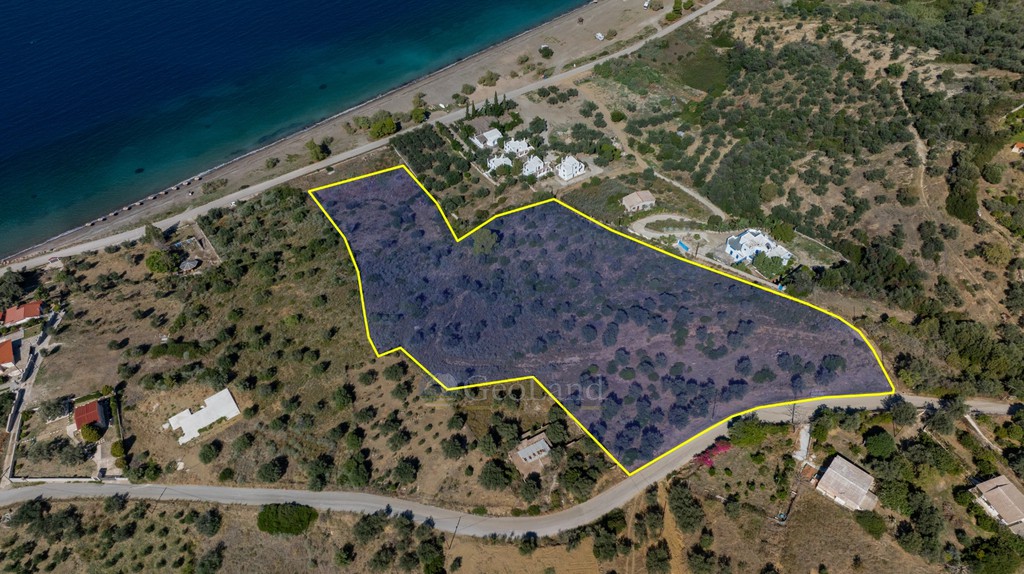 Αγροτεμάχια 18.356 τ.μ. προς πώληση, Ψήφτα