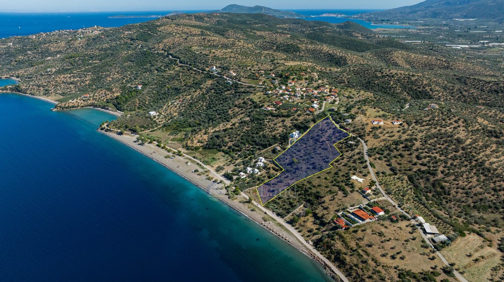 Αγροτεμάχια 18.356 τ.μ. προς πώληση, Ψήφτα