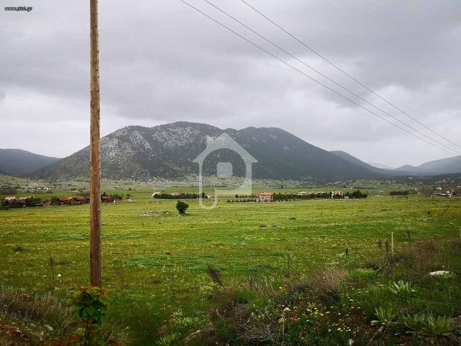 Οικόπεδο 52.000 τ.μ. προς πώληση, Καλύβια Αράχοβας