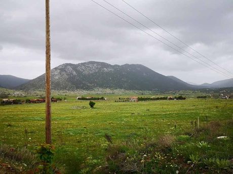 Land plot 52.000 sqm for sale
