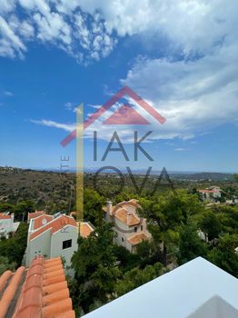 Μονοκατοικία 415 τ.μ. προς πώληση