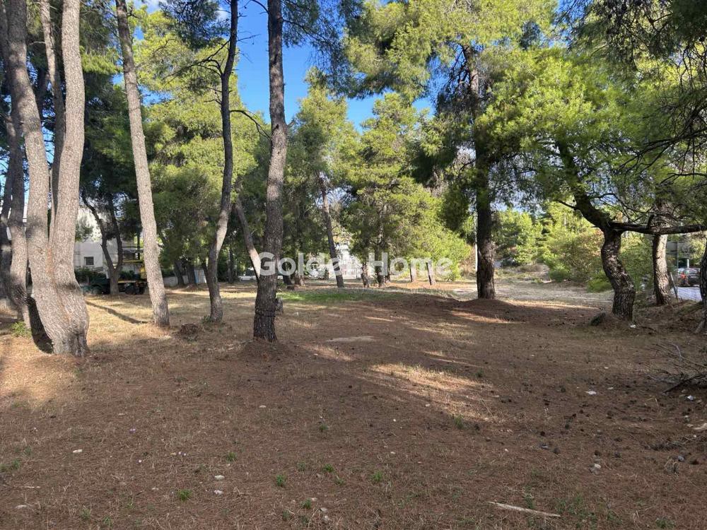 Οικόπεδο 3.923 τ.μ. προς πώληση, Κέντρο Άνοιξης