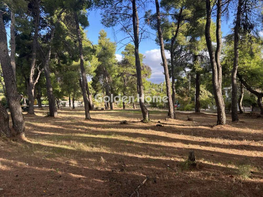 Οικόπεδο 3.923 τ.μ. προς πώληση, Κέντρο Άνοιξης