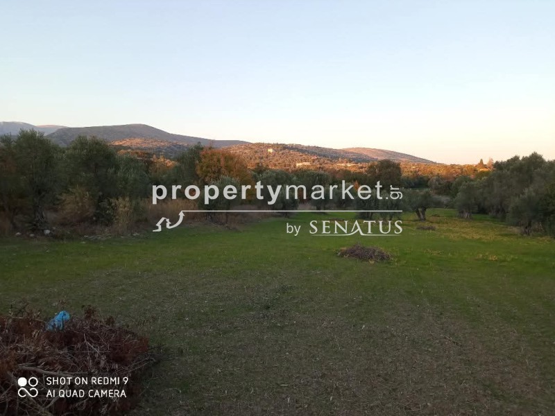 Οικόπεδο 2.608 τ.μ. προς πώληση, Άγιος Μηνάς Χίου