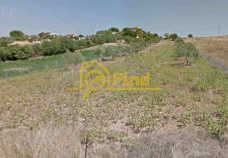 Αγροτεμάχια 4.391 τ.μ. προς πώληση