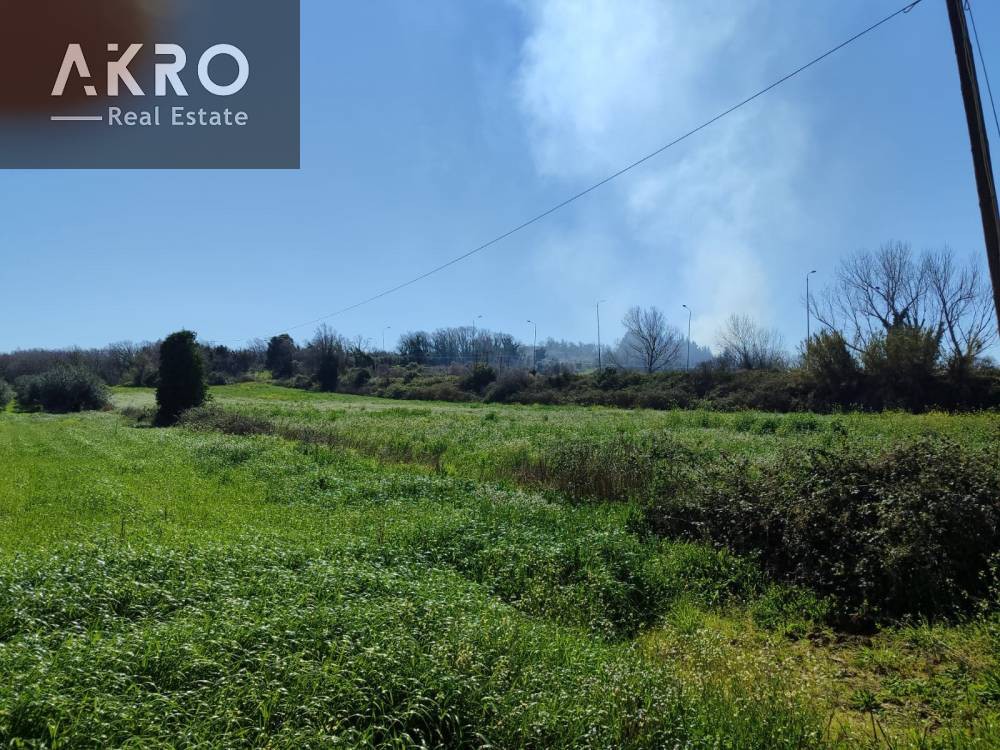 Αγροτεμάχια 2.000 τ.μ. προς πώληση, Νέα Θέση