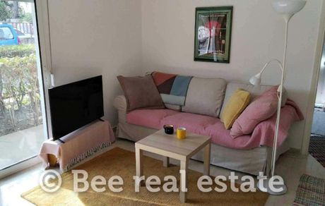 Studio 38 sqm for rent
