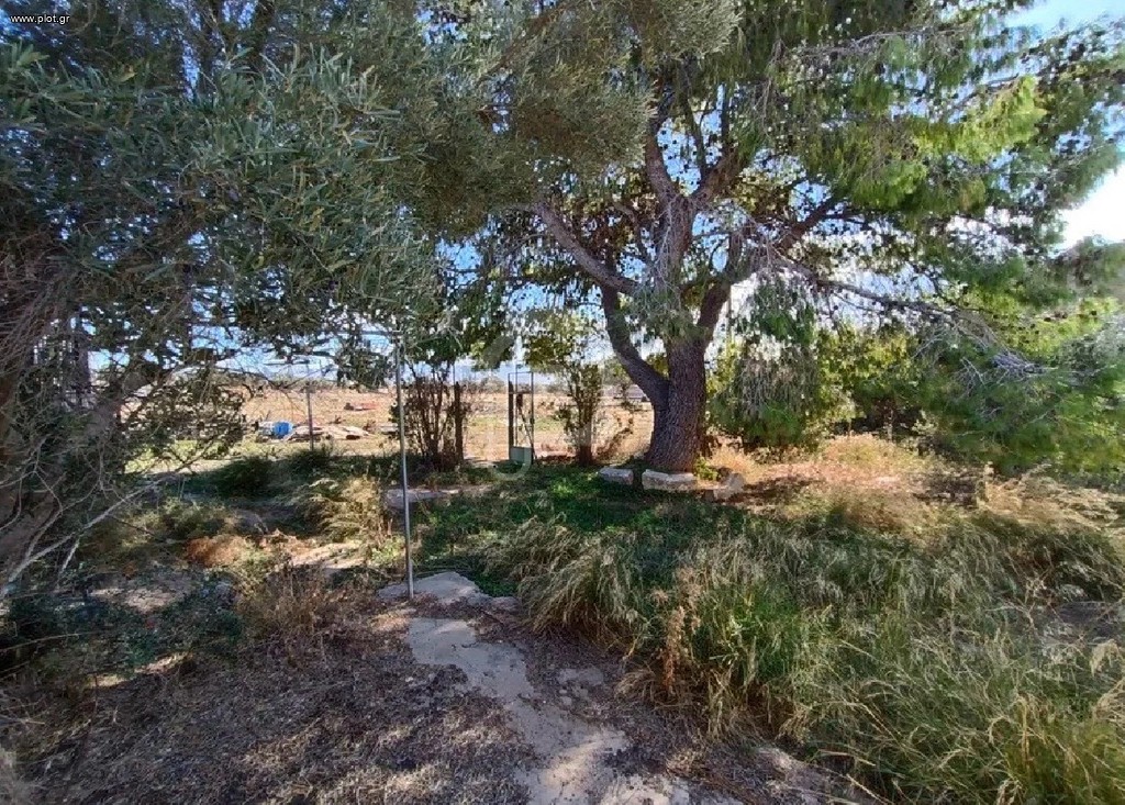 Μονοκατοικία 34 τ.μ. προς πώληση, Πάτημα Ασπροπύργου