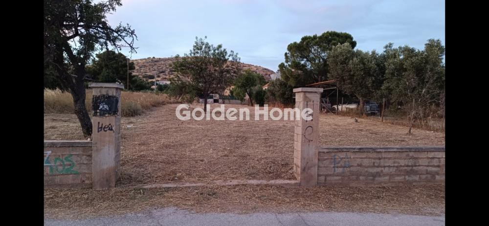 Οικόπεδο 800 τ.μ. προς πώληση, Μηλαδέζα