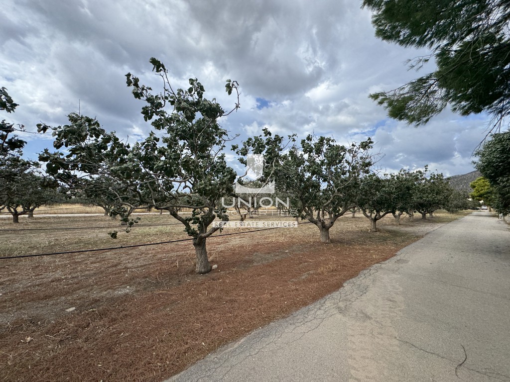 Οικόπεδο 533 τ.μ. προς πώληση, Κέντρο Παλαιάς Φώκαιας