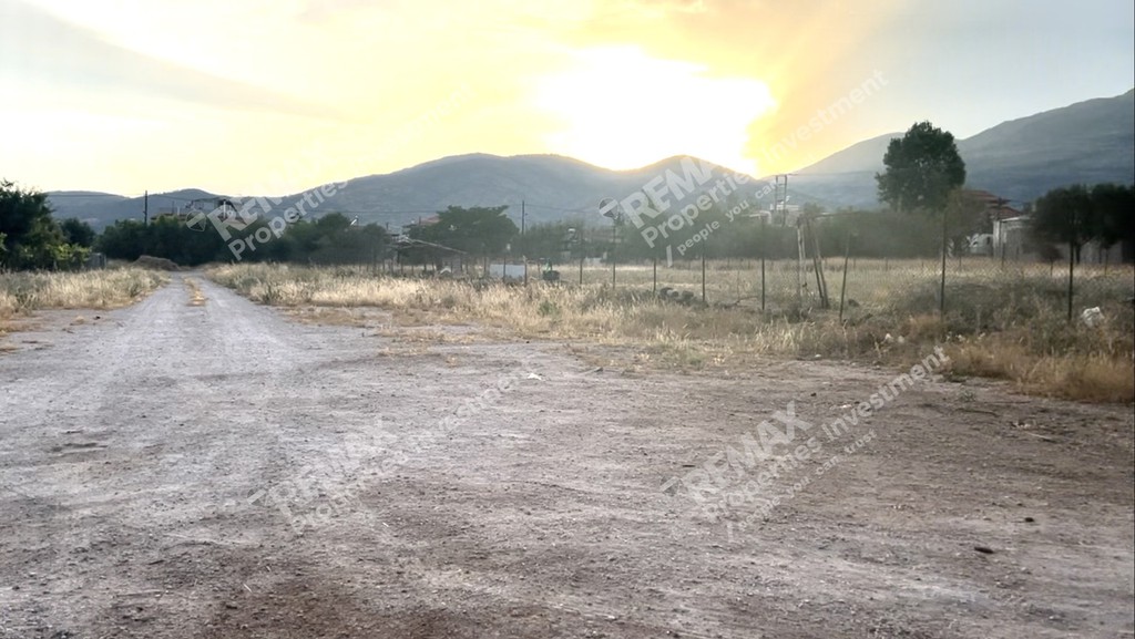 Οικόπεδο 2.000 τ.μ. προς ενοικίαση, Μεγάλα Σχοινία Α
