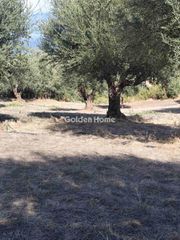 Οικόπεδο 5.656 τ.μ. προς πώληση, Λάκκα Αιγιάλειας-thumb-4