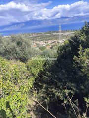 Οικόπεδο 5.656 τ.μ. προς πώληση