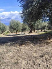Οικόπεδο 5.656 τ.μ. προς πώληση, Λάκκα Αιγιάλειας-thumb-1