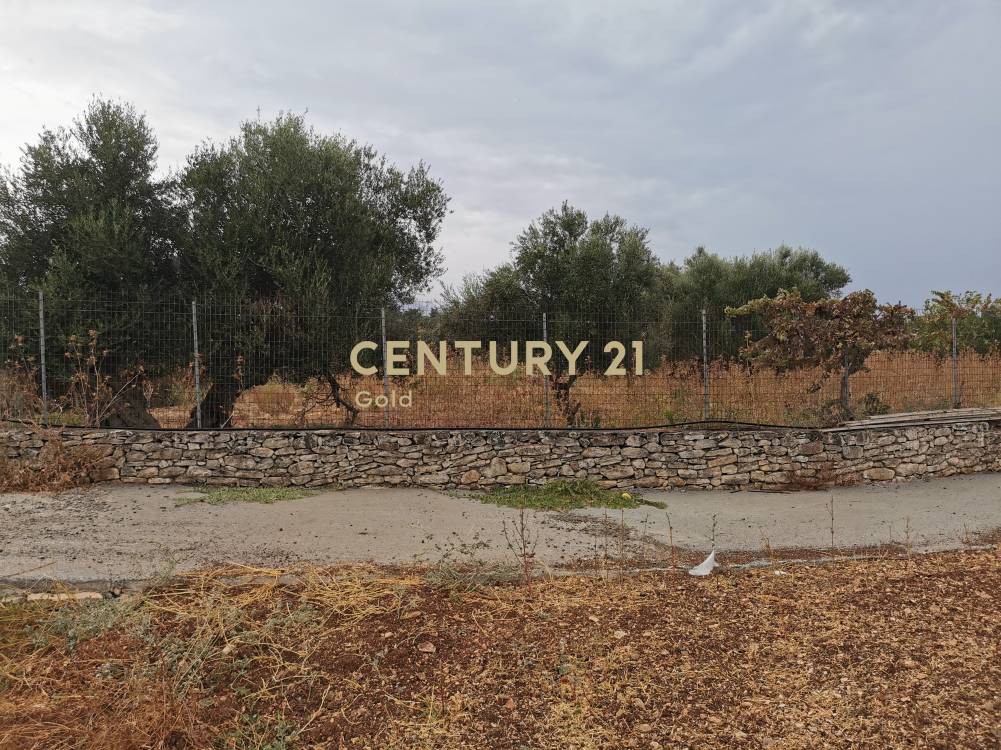 Οικόπεδο 2.425 τ.μ. προς πώληση, Γαβαλοχώρι