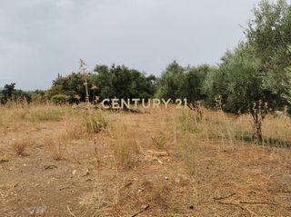 Οικόπεδο 2.425 τ.μ. προς πώληση, Γαβαλοχώρι-thumb-6