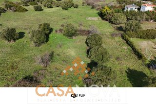 Αγροτεμάχια 4.300 τ.μ. προς πώληση, Άγιος Αθανάσιος Σιθωνίας-thumb-6