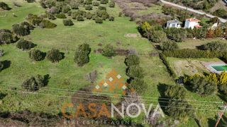Αγροτεμάχια 4.300 τ.μ. προς πώληση, Άγιος Αθανάσιος Σιθωνίας-thumb-8