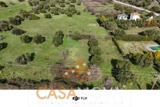 Αγροτεμάχια 4.300 τ.μ. προς πώληση, Άγιος Αθανάσιος Σιθωνίας-thumb-12