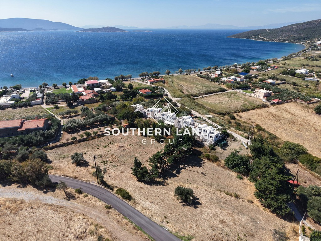 Οικόπεδο 4.000 τ.μ. προς πώληση, Φηγιάς