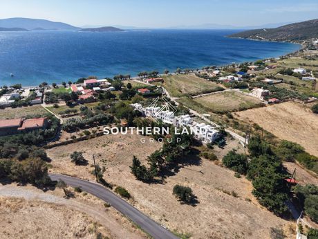 Οικόπεδο 4.000 τ.μ. προς πώληση