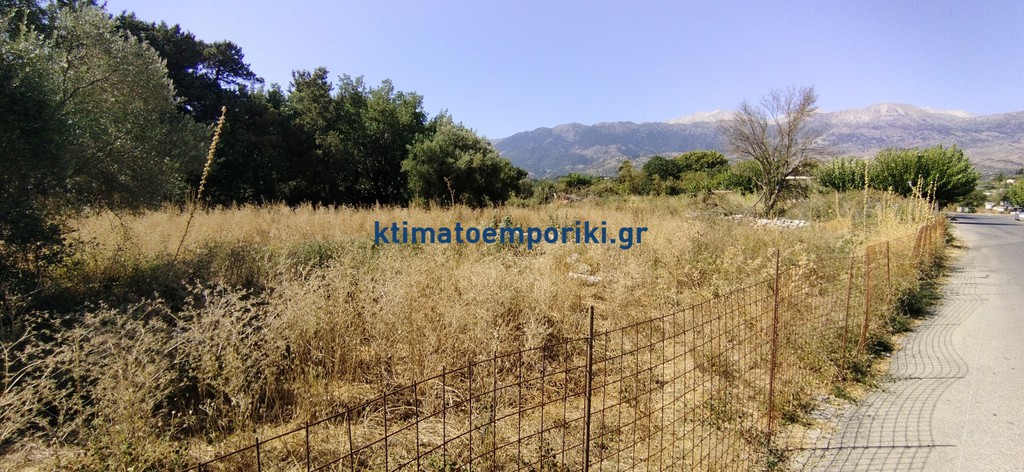 Οικόπεδο 2.000 τ.μ. προς πώληση, Βρύσες Κρυονερίδας