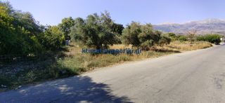 Οικόπεδο 2.000 τ.μ. προς πώληση, Βρύσες Κρυονερίδας-thumb-5