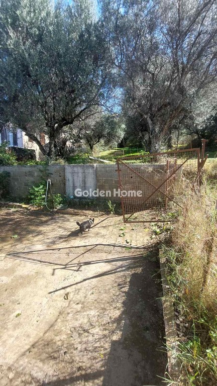 Land plot 2.000 sqm for sale, Mintilogli