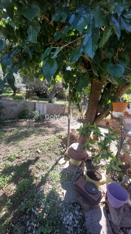 Land plot 2.000 sqm for sale, Mintilogli
