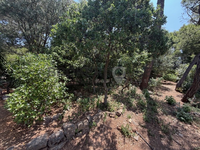 Οικόπεδο 439 τ.μ. προς πώληση, Δέση Γέρακα