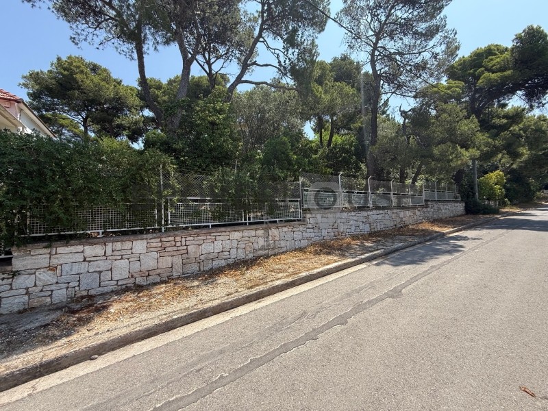 Οικόπεδο 439 τ.μ. προς πώληση, Δέση Γέρακα