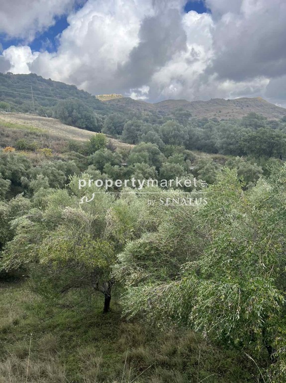Οικόπεδο 4.400 τ.μ. προς πώληση, Καρίνες
